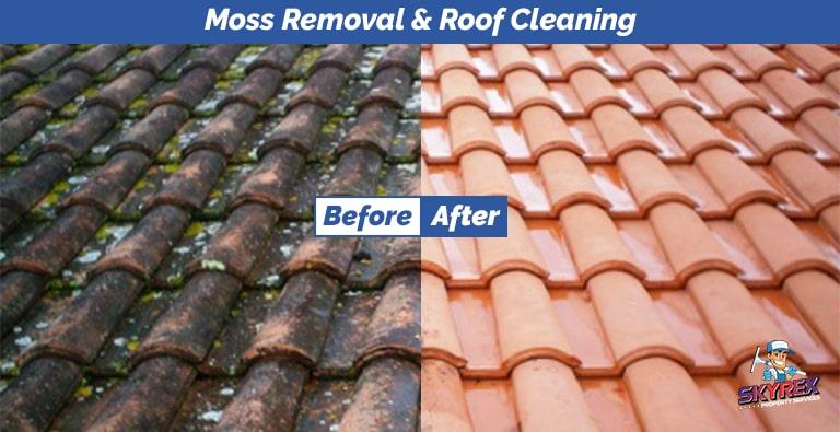 Moss removal and roof cleaning before after picture