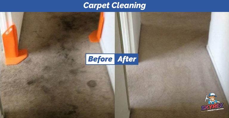 Carpet cleaning service before and after picture