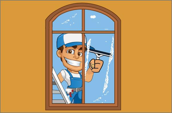 Professional window cleaning service