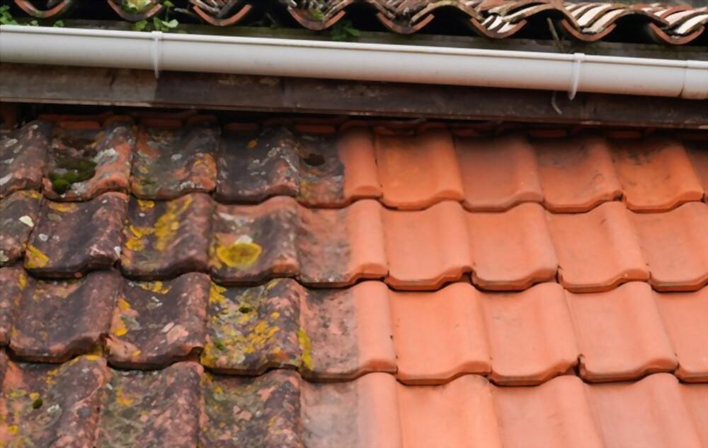 Best roof cleaning service