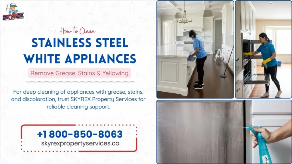 How to Clean Stainless Steel and White Appliances Remove Grease, Stains & Yellowing
