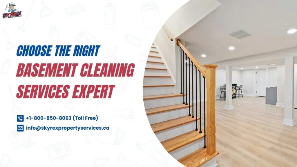 Choose the Right Basement Cleaning Services Expert