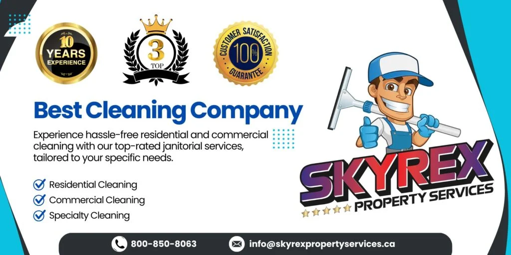 Hire a Professional Cleaning Service - Skyrex