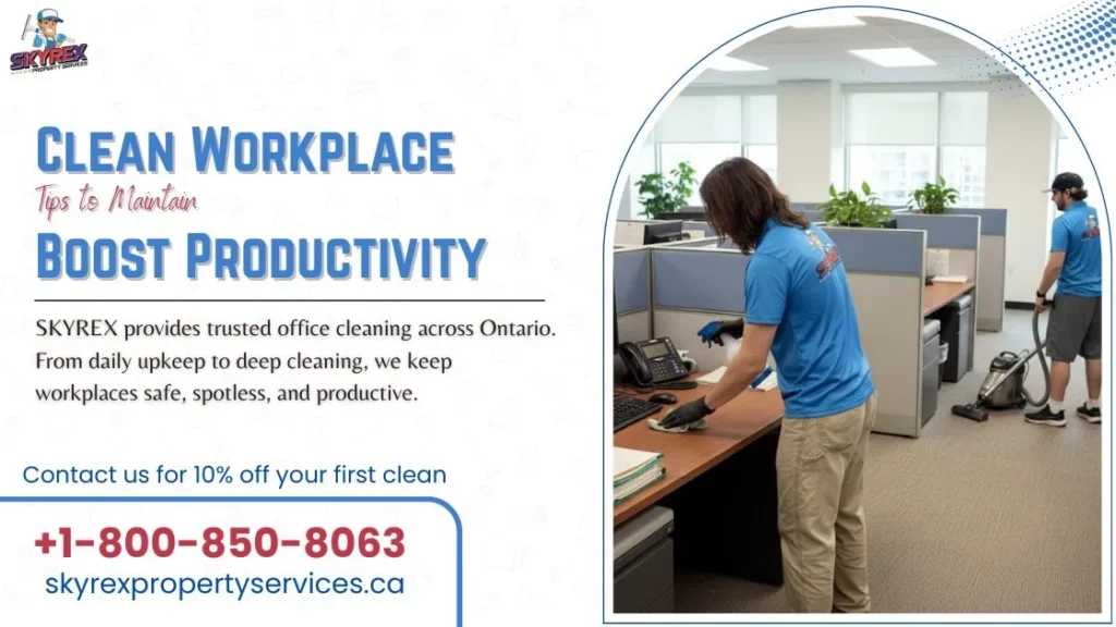 12 Office Cleaning Tips to Maintain a Clean Workplace and Boost Productivity - skyrex property services