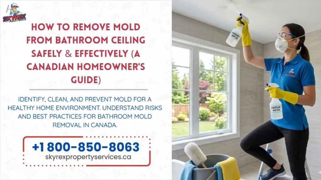 how to remove mold from bathroom calling