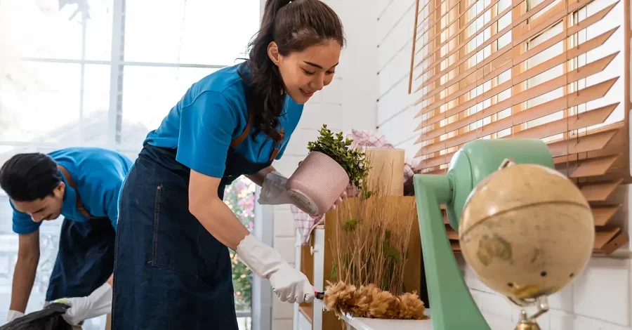 Green Cleaning Service in Markham