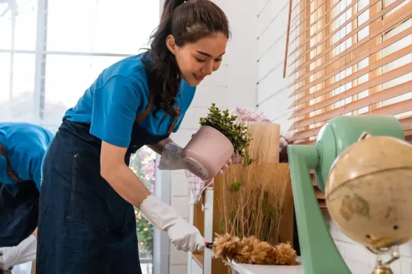 SKYREX green cleaning technicians using plant-based products in a Calgary North home