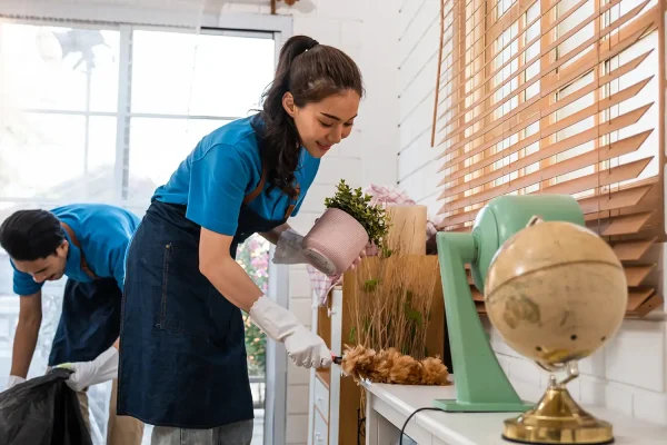 Eco Friendly Cleaning Services